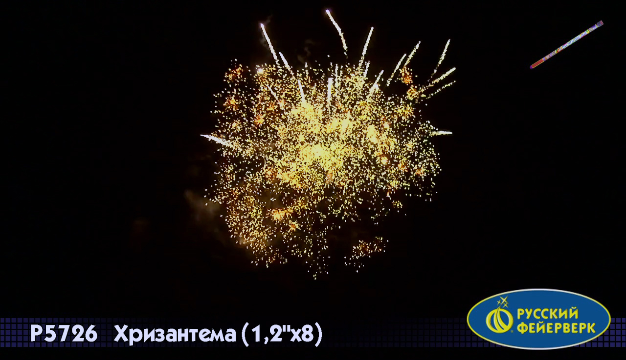 Хризантема (1,2х8)