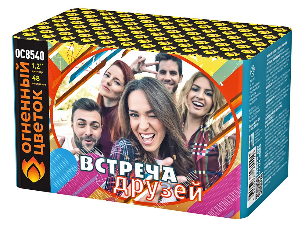 Встреча друзей (1,1х48)