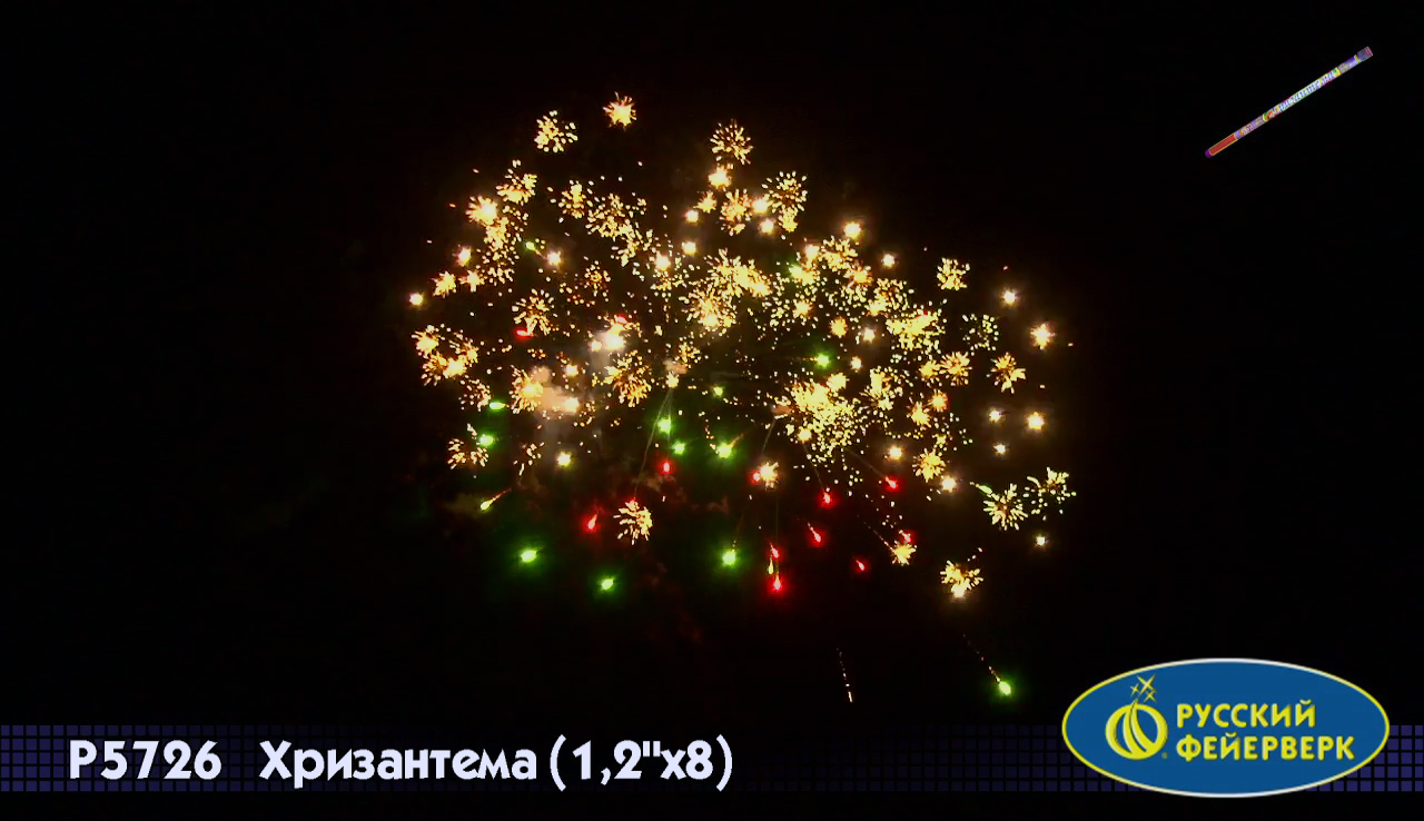Хризантема (1,2х8)